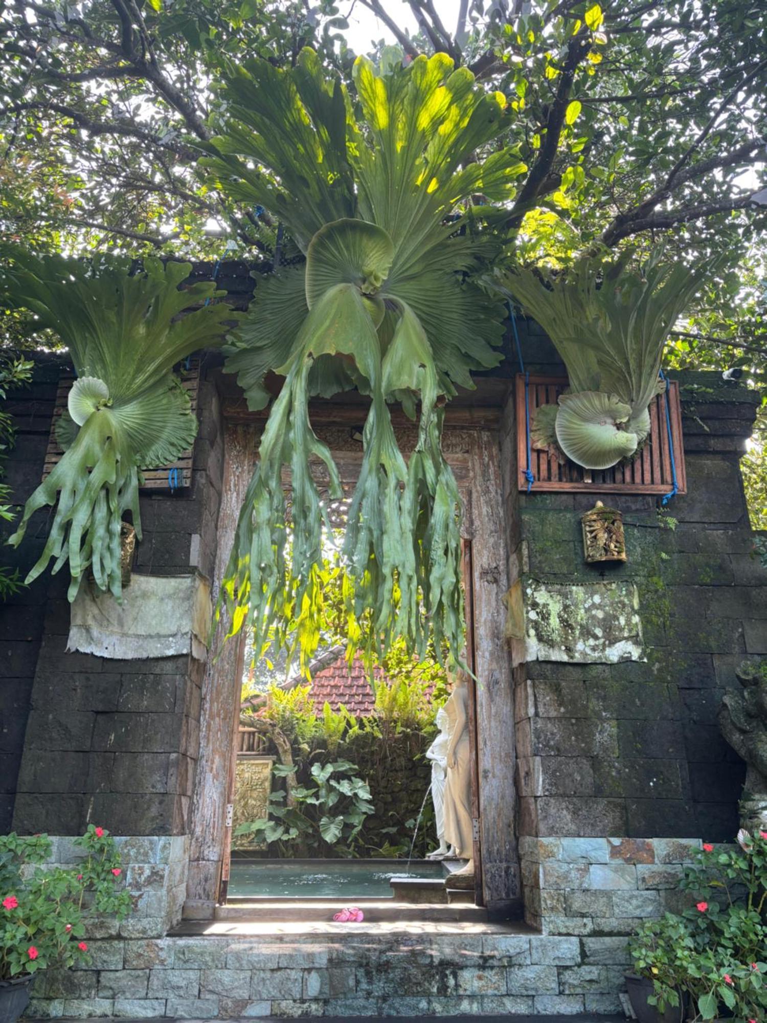 Bumbung Sari Villa Ubud Eksteriør bilde